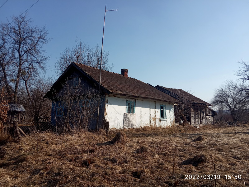 краєвид - Смоляной
