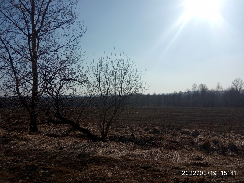 краєвид - Смоляний