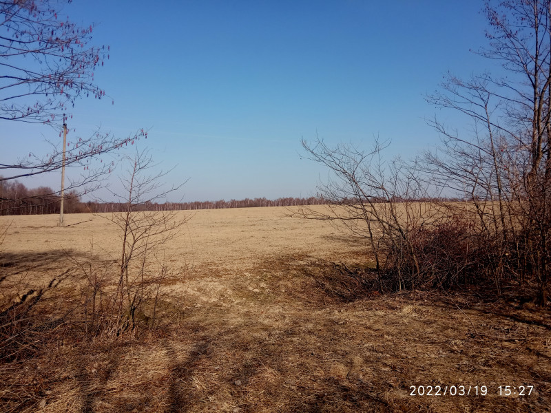 краєвид - Смоляной