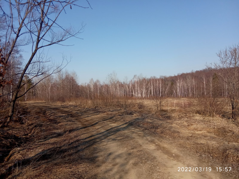 краєвид - Смоляний