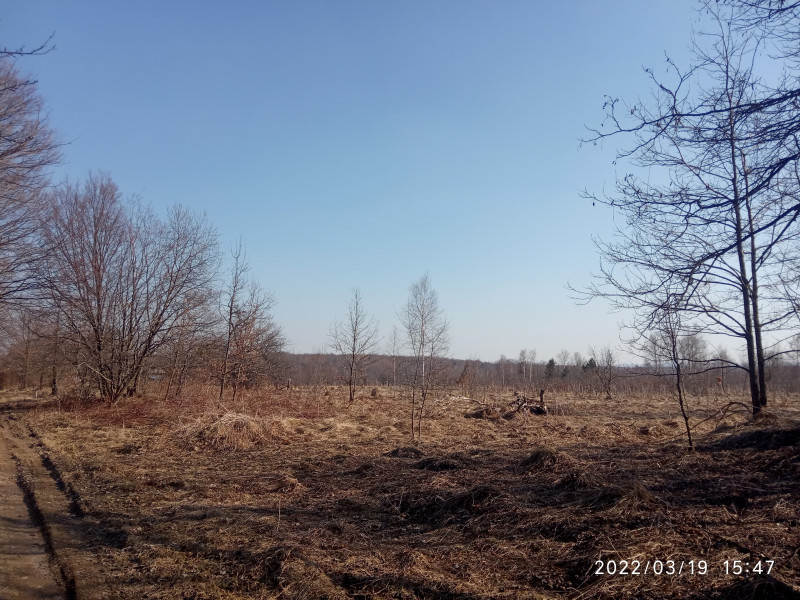 краєвид - Смоляний