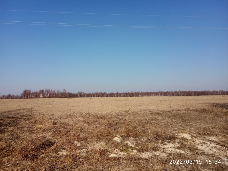 краєвид - Смоляной