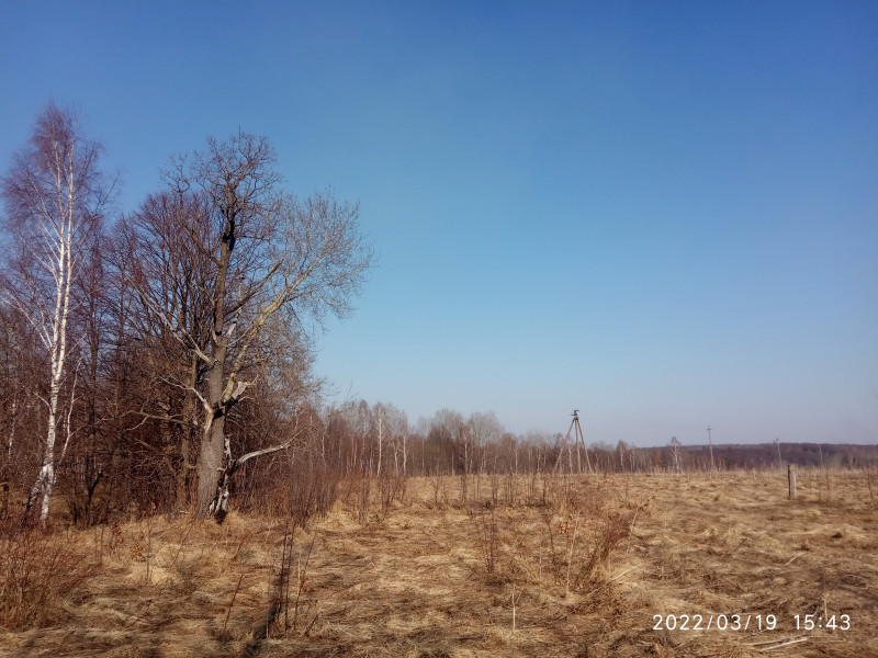 краєвид - Смоляний