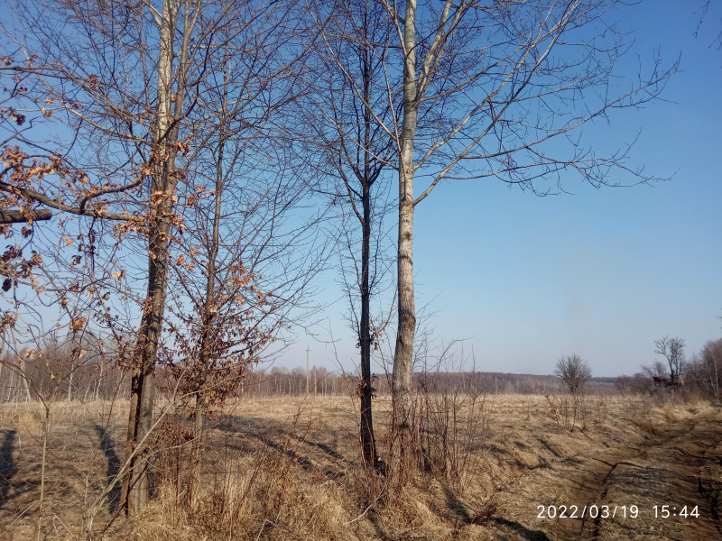 краєвид - Смоляной
