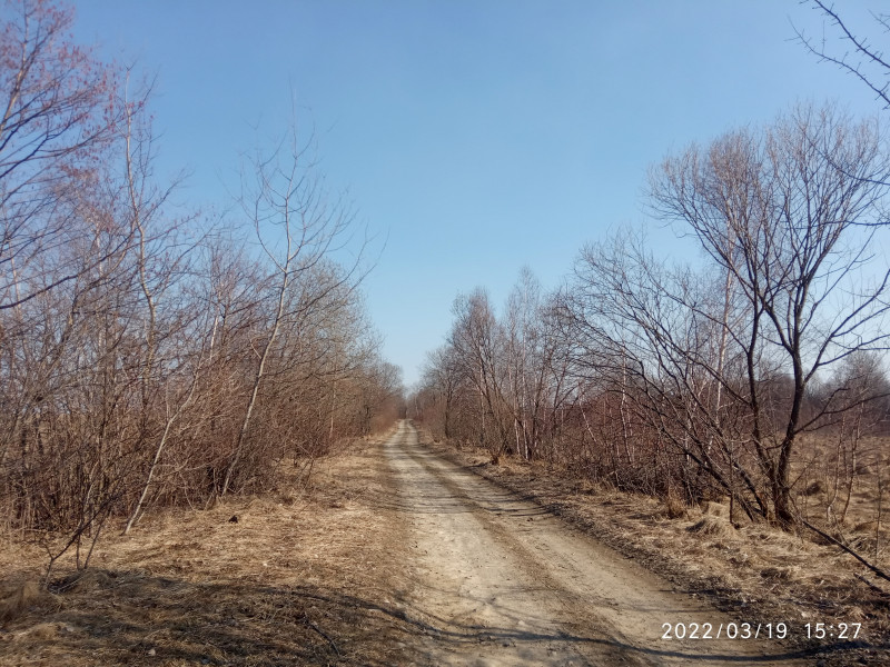 краєвид - Смоляной