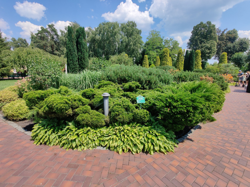 Межигір'я - Новые Петровцы