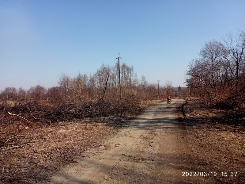 краєвид - Смоляной