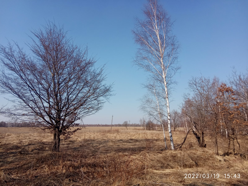 краєвид - Смоляний