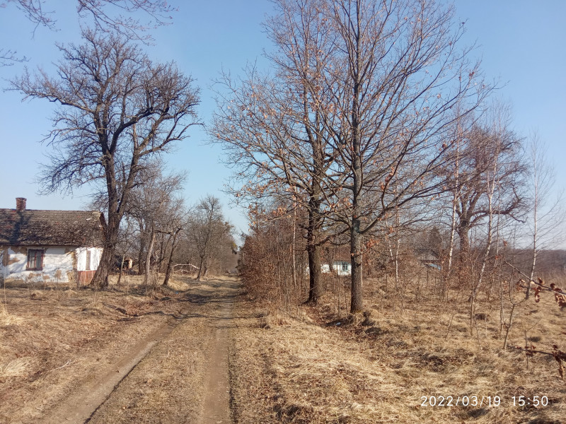краєвид - Смоляной