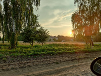 Дослідне - Останні фото