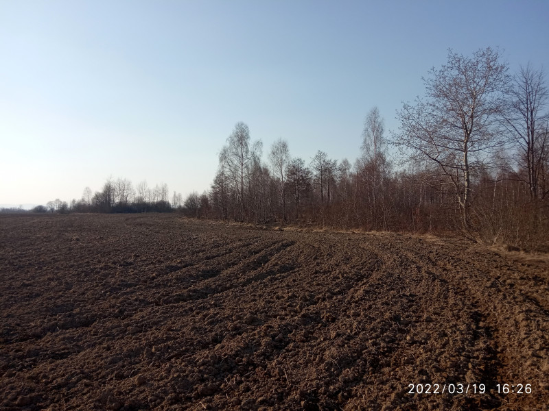 краєвид - Смоляний