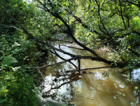 річка Жижава