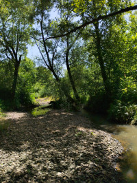 річка Жижава