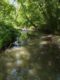 річка Жижава