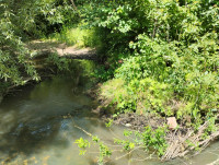 річка Жижава