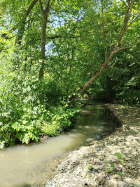 річка Жижава