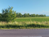 Нежухів - Останні фото