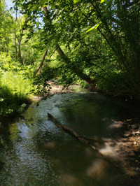 річка Жижава