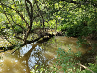 річка Жижава