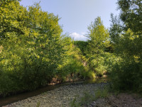 річка Жижава