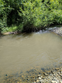 річка Жижава