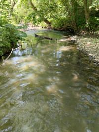 річка Жижава