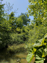 річка Жижава