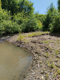 річка Жижава