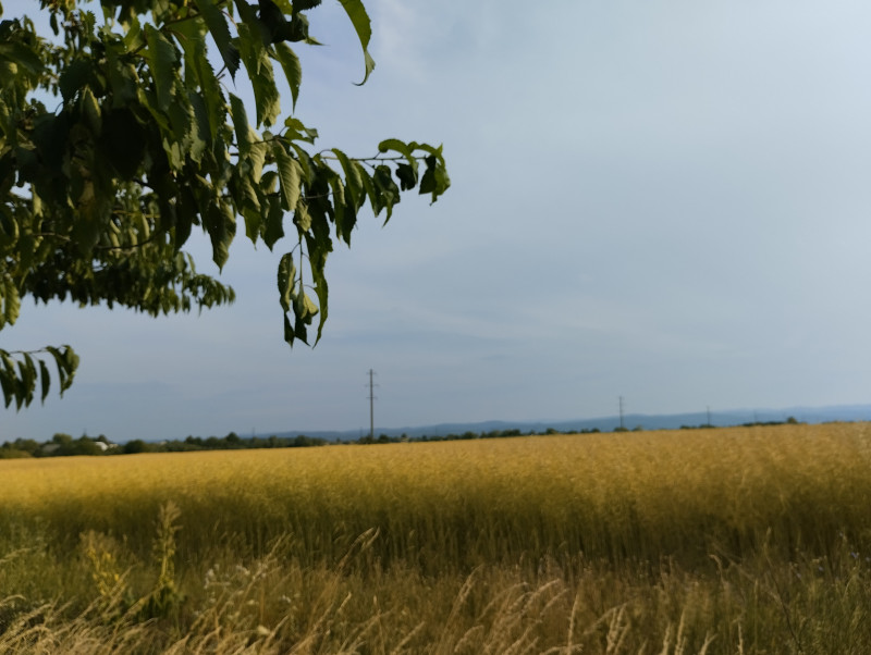 краєвид - Zhulyn