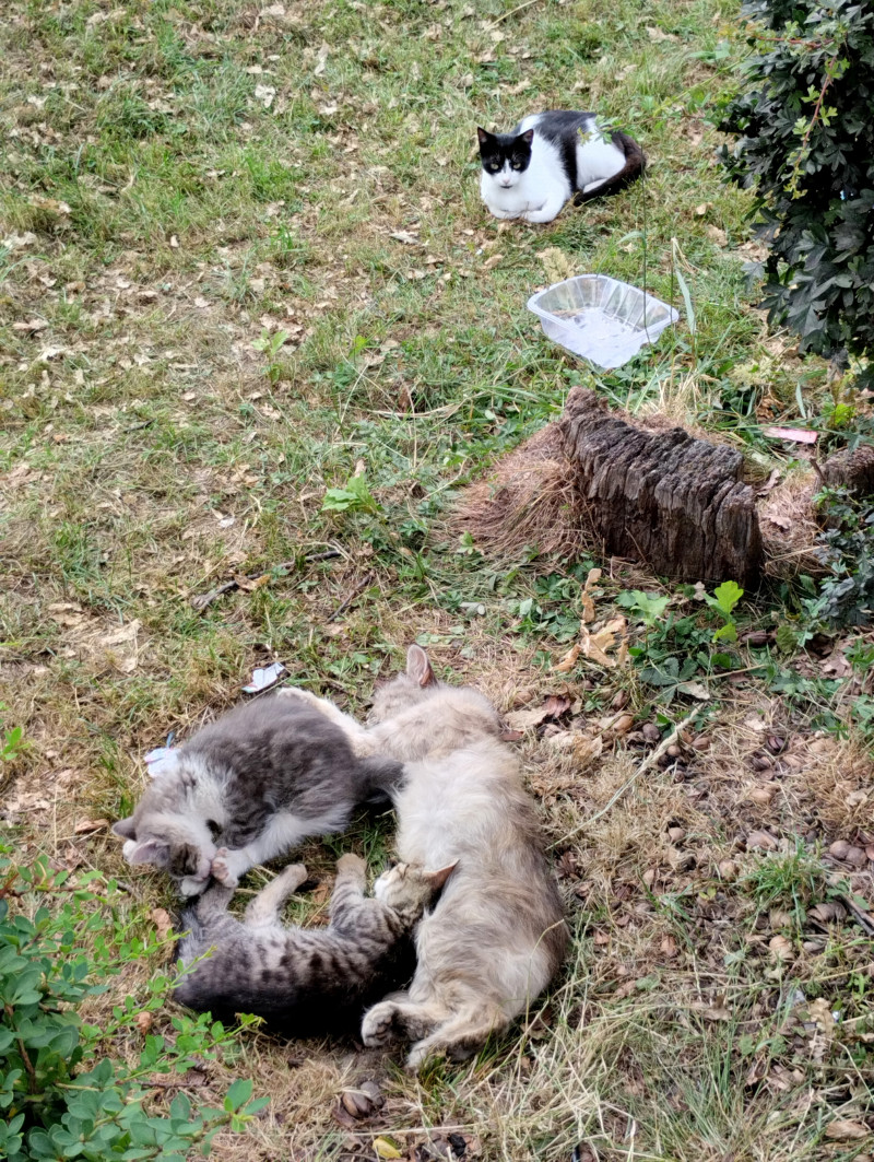 Зоосвіт - Моршин