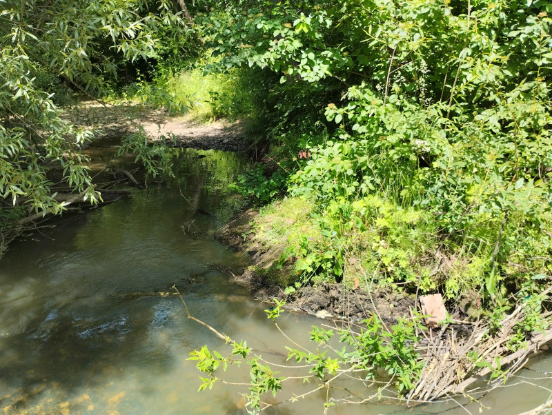 річка Жижава - Горішнє