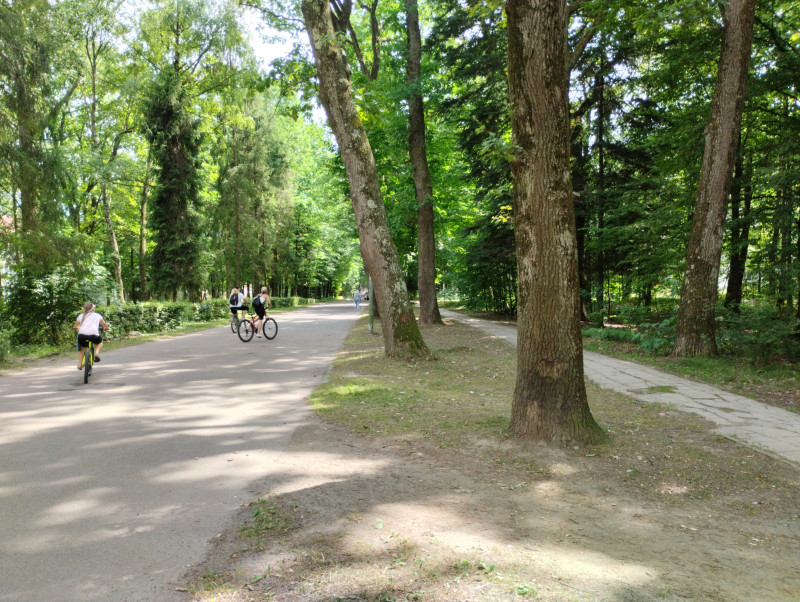 Парки - Morshyn
