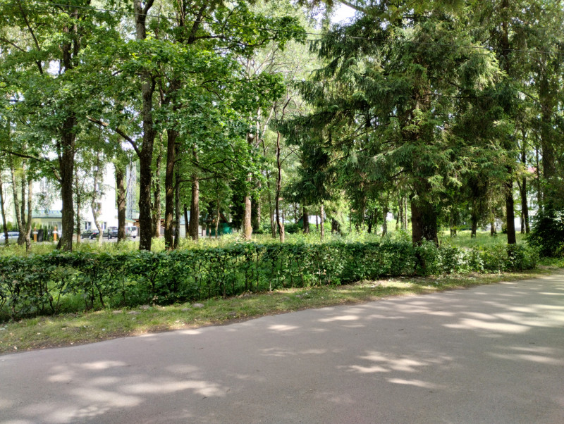 Парки - Morshyn