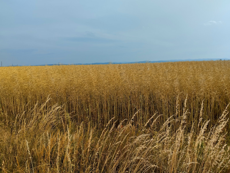 краєвид - Жулин
