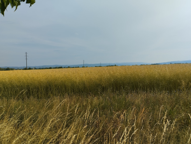 краєвид - Zhulyn