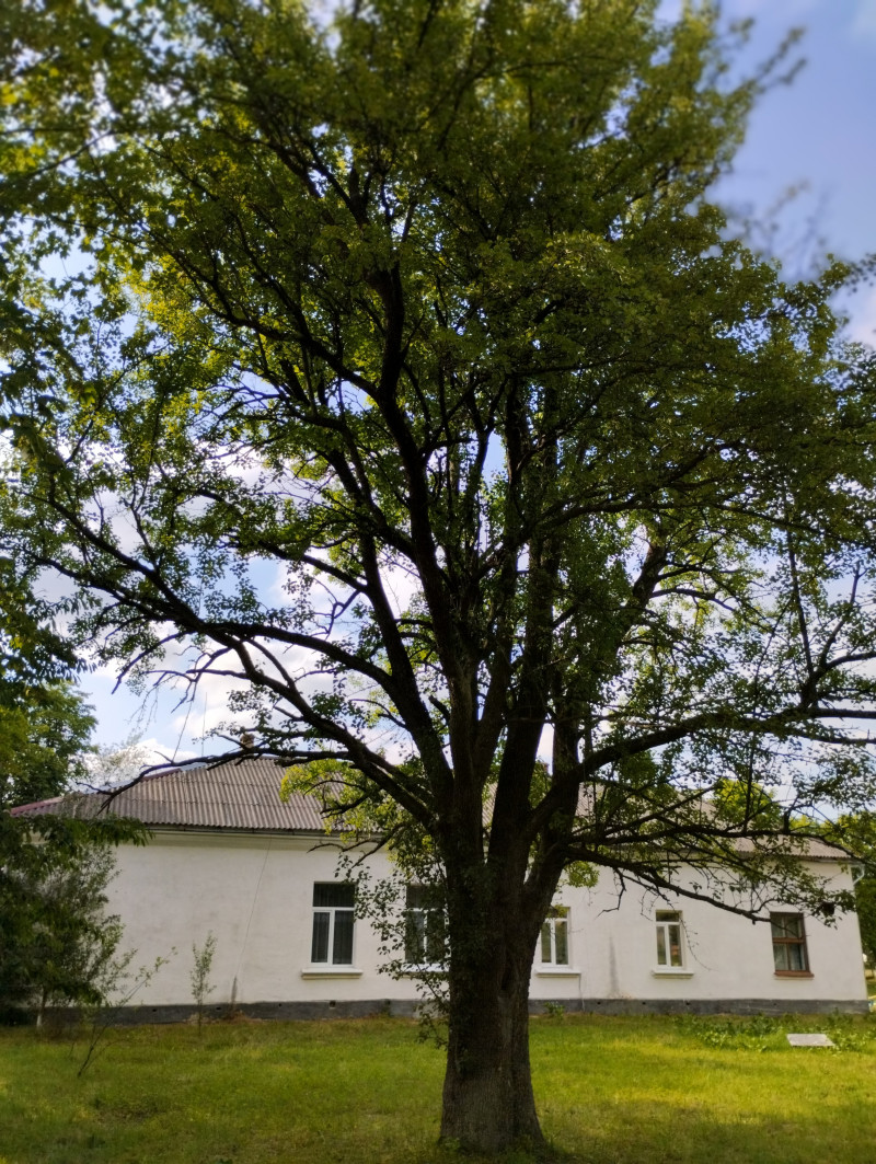 Дитячий садок - Горішнє