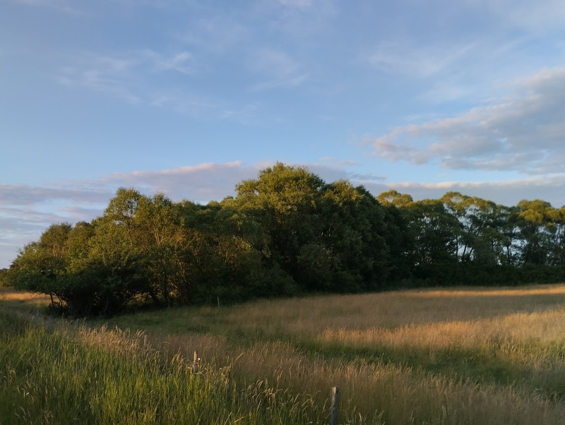 краєвид - Долішнє