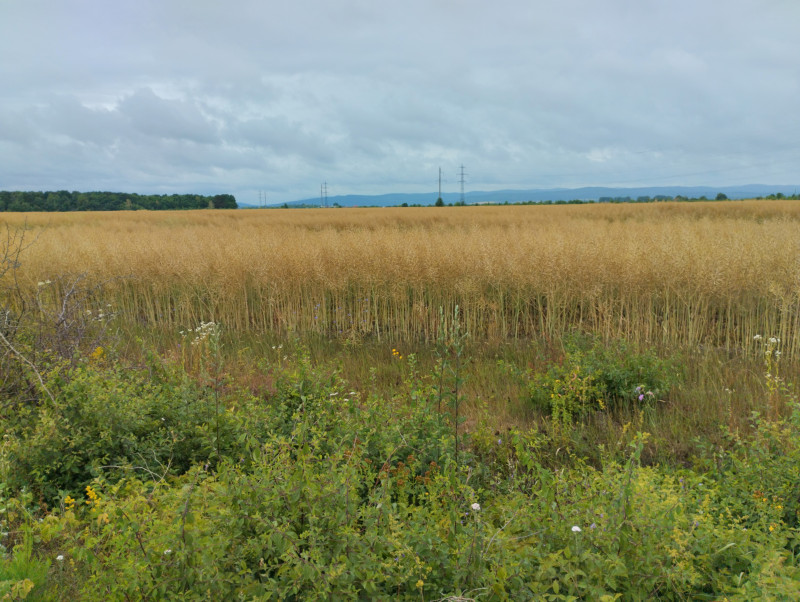 краєвид - Жулин