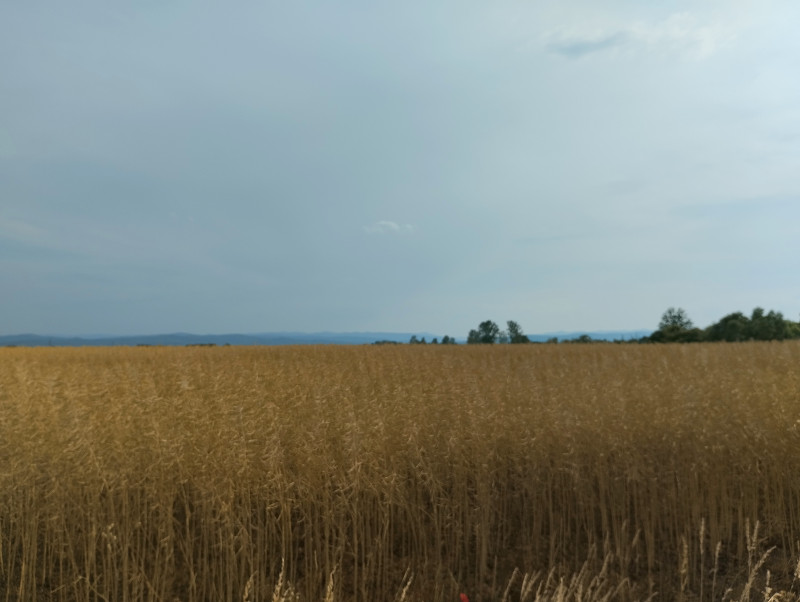 краєвид - Жулин