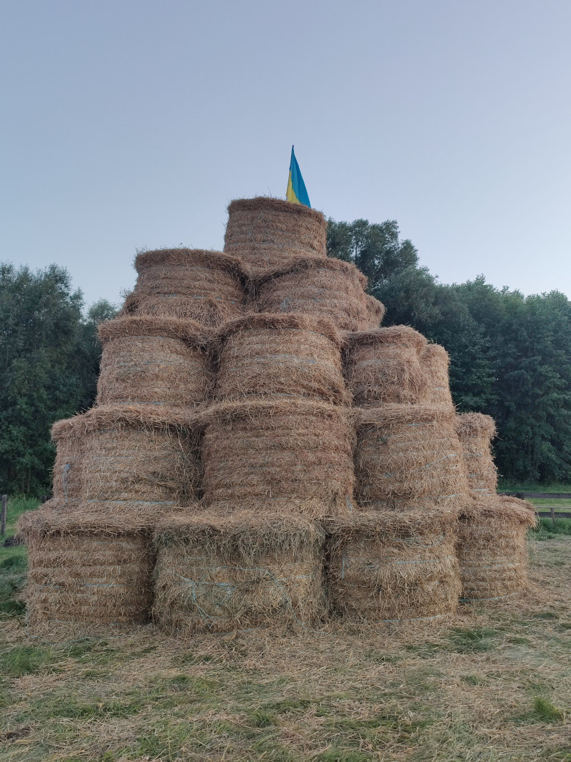 Наші фото - Хотинівка