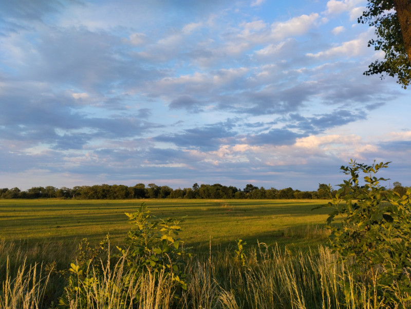 краєвид - Миртюки