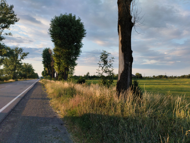 краєвид - Миртюки