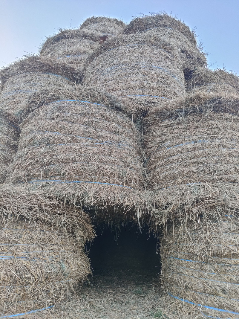 Наші фото - Хотинівка