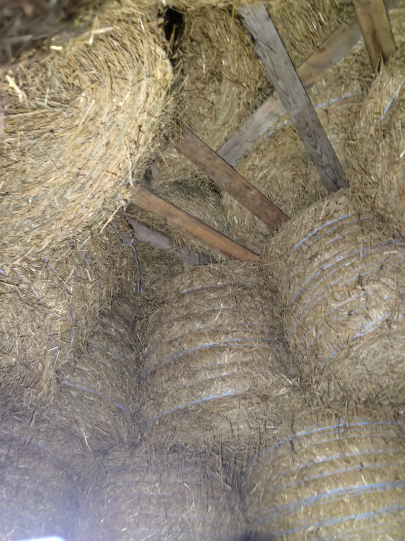 Наші фото - Хотинівка