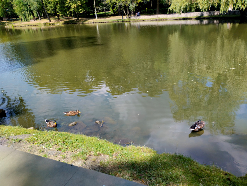 МІСТО ФРАНКОВЕ - Ivano-Frankivsk