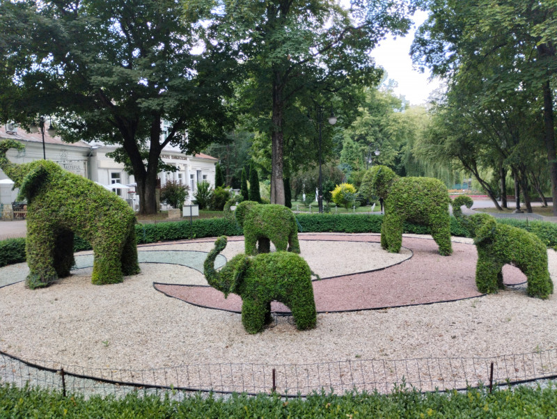 МІСТО ФРАНКОВЕ - Ivano-Frankivsk