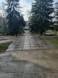 Рекордно тепла зима в Бобровиці