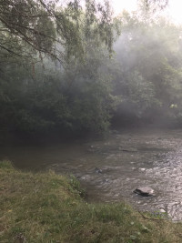 Саїнка - Останні фото