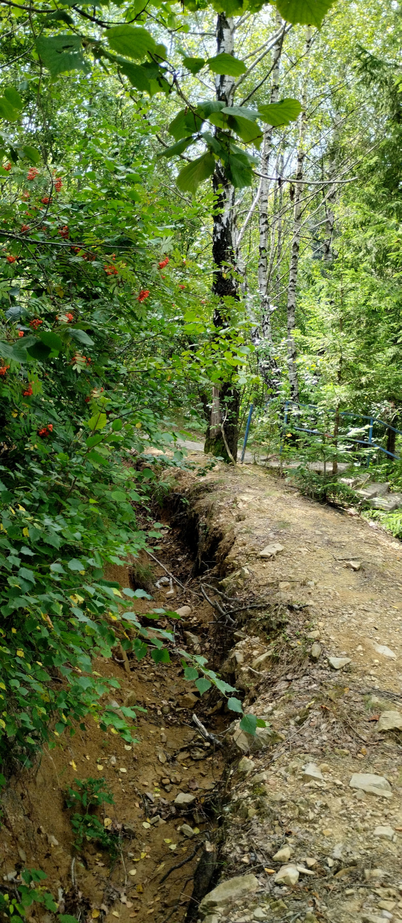 Популярний бальнеологічний курорт1 - Skhidnytsya