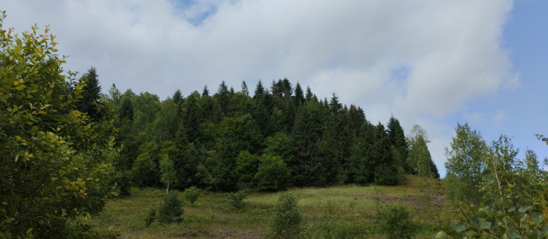 Популярний бальнеологічний курорт1 - Skhidnytsya